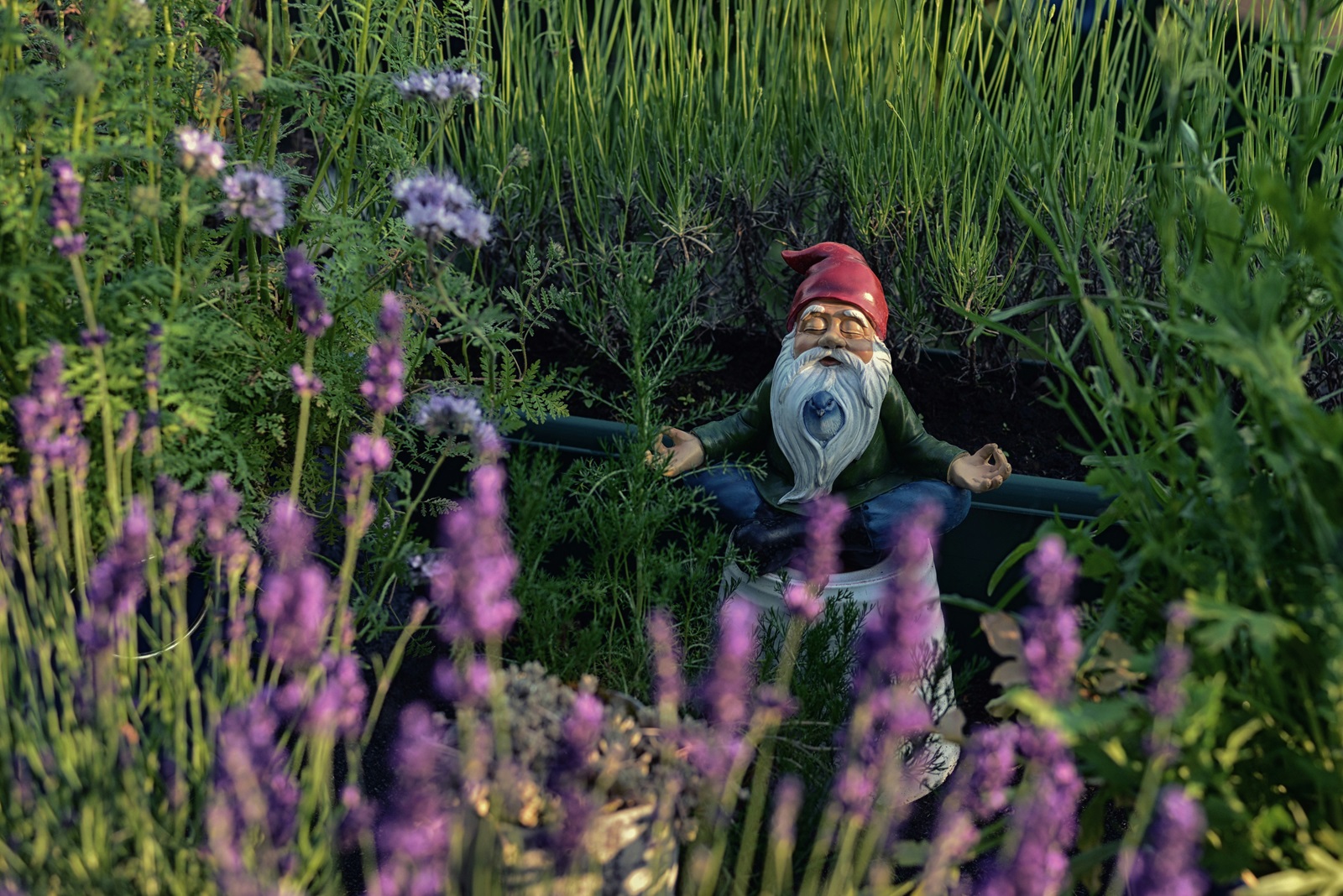 meditating gnome